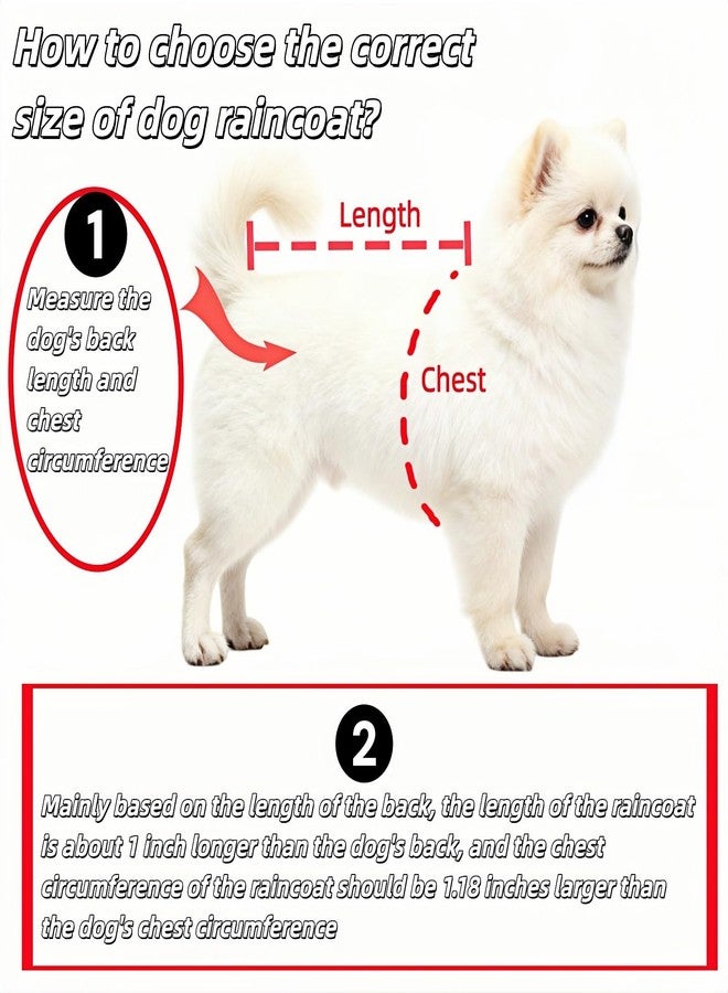 BUBBLE-FLY Clear Dog Rain Poncho for Small Medium Dogs,Heavy Waterproof Raincoat with Hidden Leash Hole&Adjustable Snaps,Pet Hooded Cape for Bichon Poodle (4-8lbs) (Transparent, Medium) - Image 4